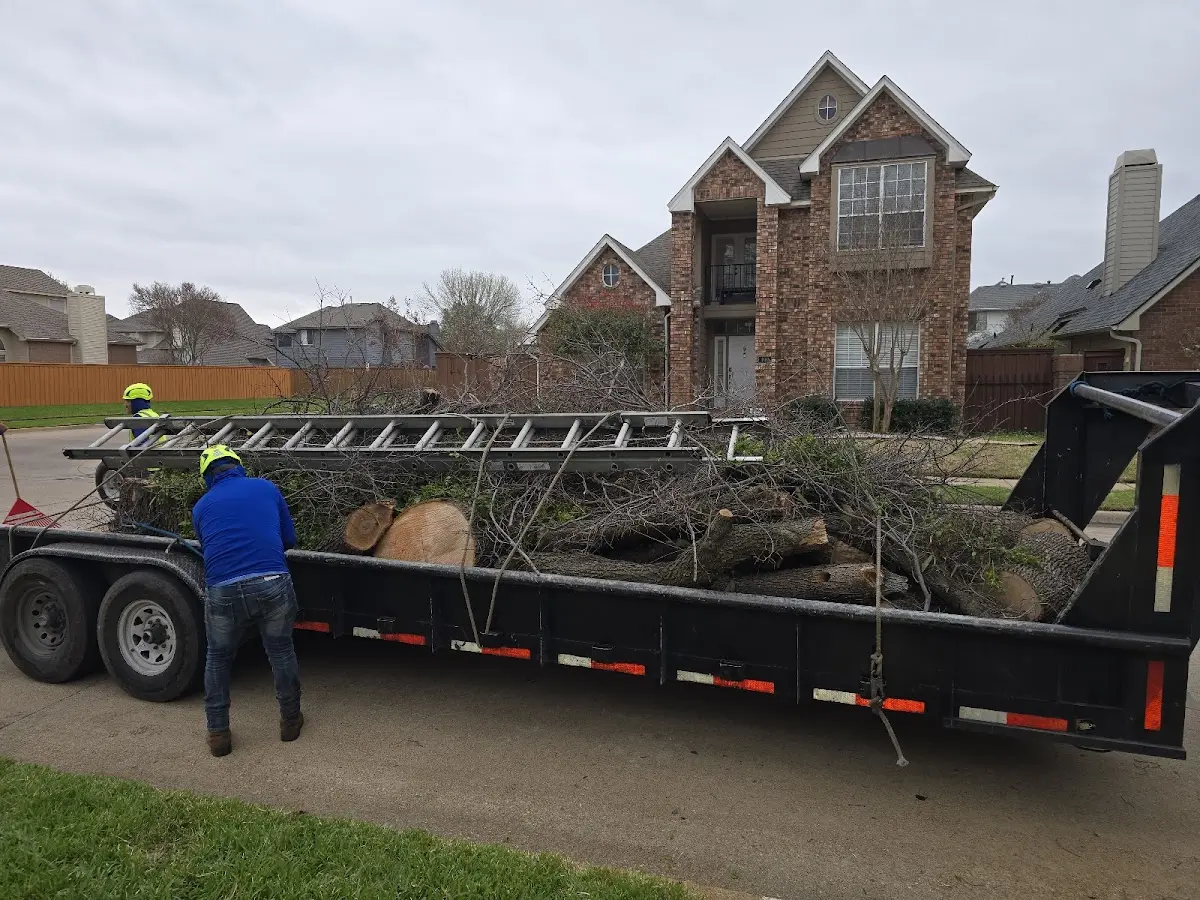 Expert Tree Removal with proper safety equipment in Farmingdale